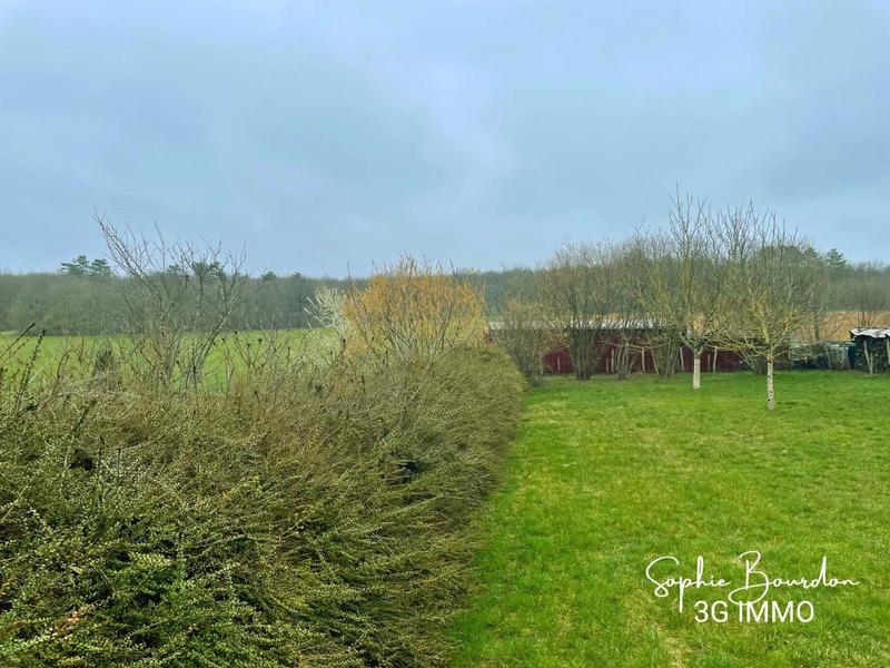 Terrain constructible - 1 002 m²