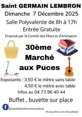 30ème marché aux puces