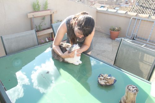 Ostéopathe Animalier - Equin Canin