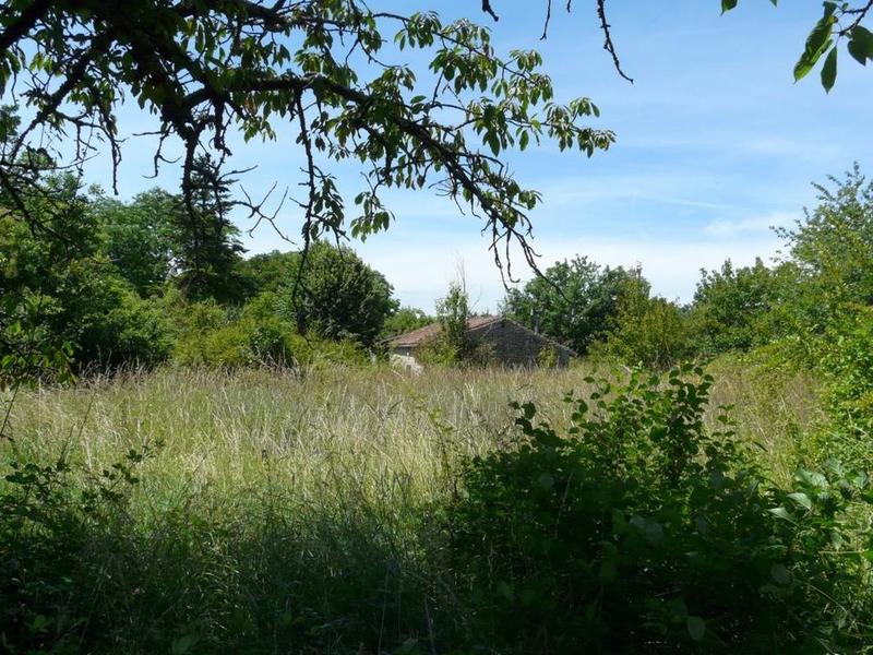 Maison en pierre - 90 m² - 4 pièces