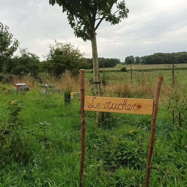 Terrain de loisirs - 200 m²