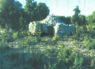 Terrain - 23 600 m²