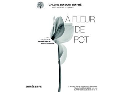 "À Fleur de Pot" - Exposition à la Galerie du bout du Pré