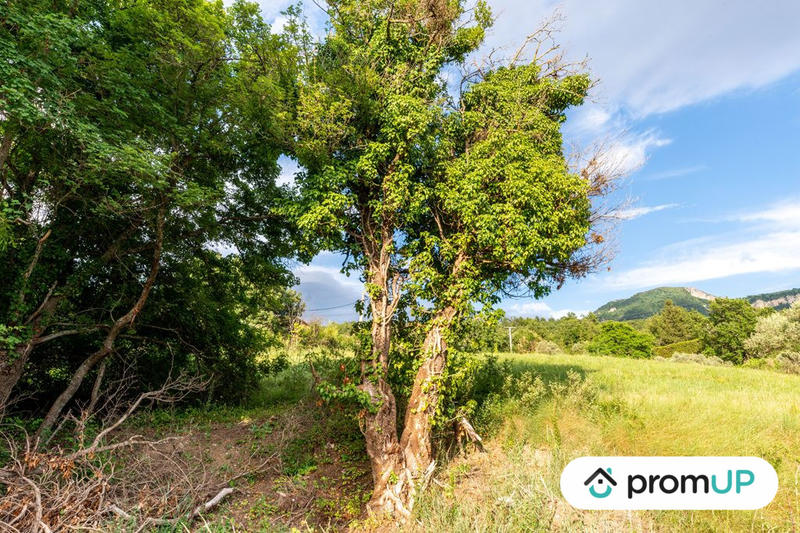 Terrain - 48 000 m²