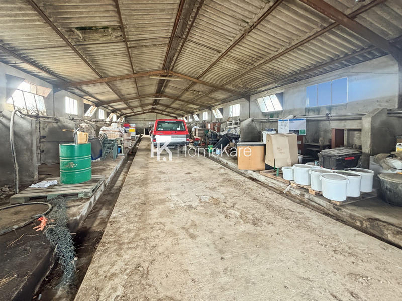 Ferme - 190 m² - 7 pièces