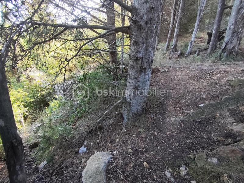 Terrain agricole - 1 625 m²