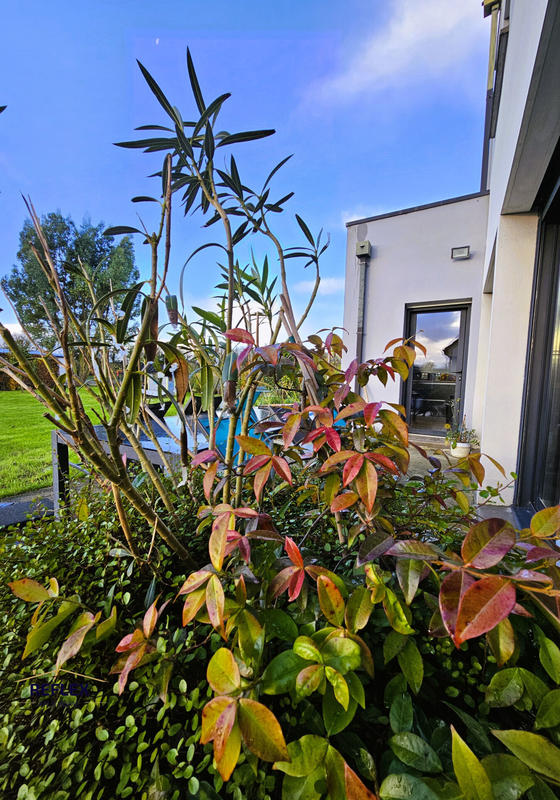 Maison - 190 m² - 6 pièces