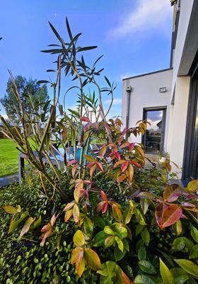 Maison - 190 m² - 6 pièces