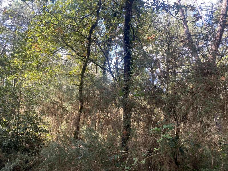 Terrain agricole - 2 890 m²