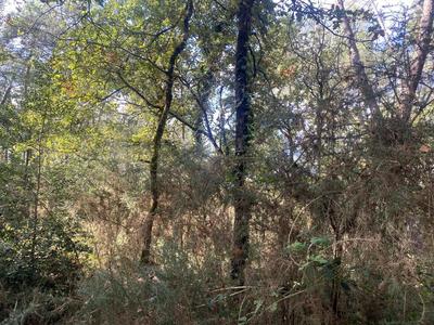 Terrain agricole - 2 890 m²