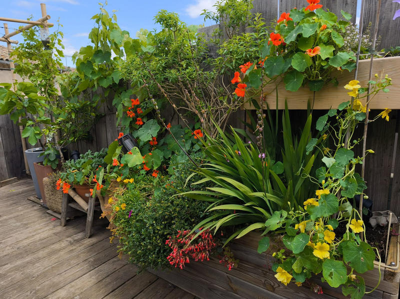 Maison ancienne - 130 m² - 5 pièces