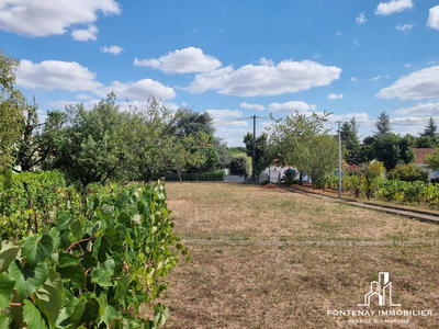 Maison ancienne - 130 m² - 6 pièces