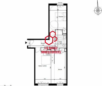 Appartement - 55 m² - 2 pièces