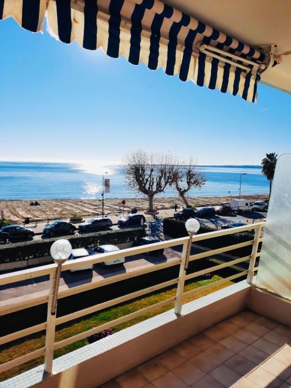 Studio - 30 m² - 1 pièce