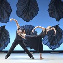 Malandain Ballet Biarritz : les Saisons