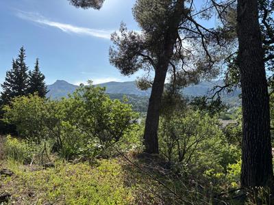 Terrain constructible - 1 311 m²