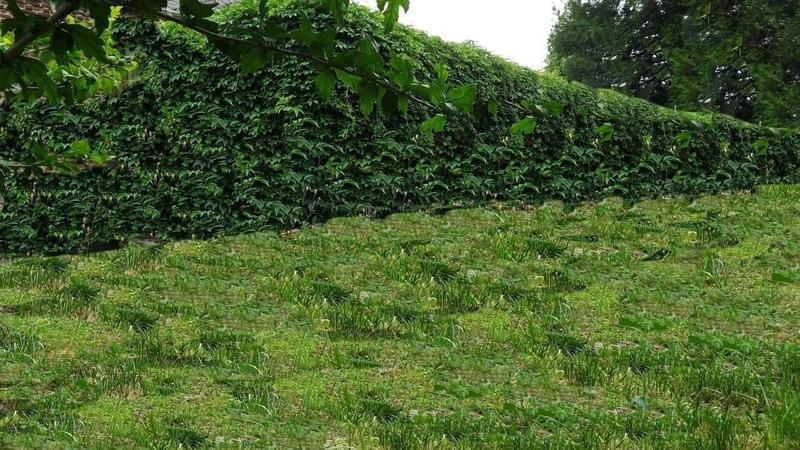 Maison - 157 m² - 11 pièces