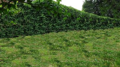 Maison - 157 m² - 11 pièces