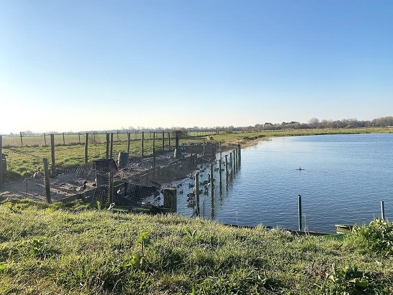 Propriété - 75 000 m² - 5 pièces