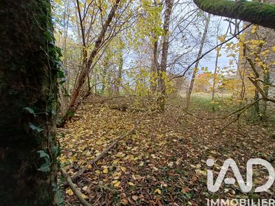 Ferme - 200 m² - 5 pièces