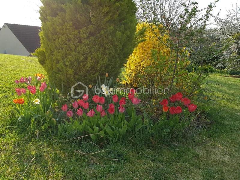 Maison traditionnelle - 152 m² - 6 pièces