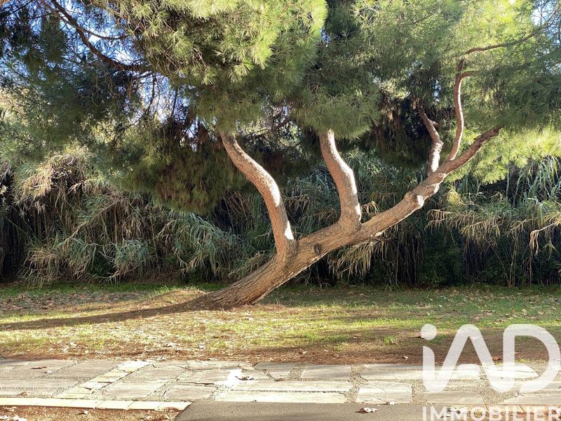 Appartement - 31 m² - 2 pièces