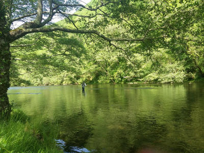 Chambres d'hôtes Villa Comlombier