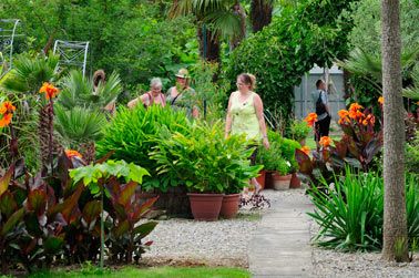 Jardin aux Plantes Parfumées