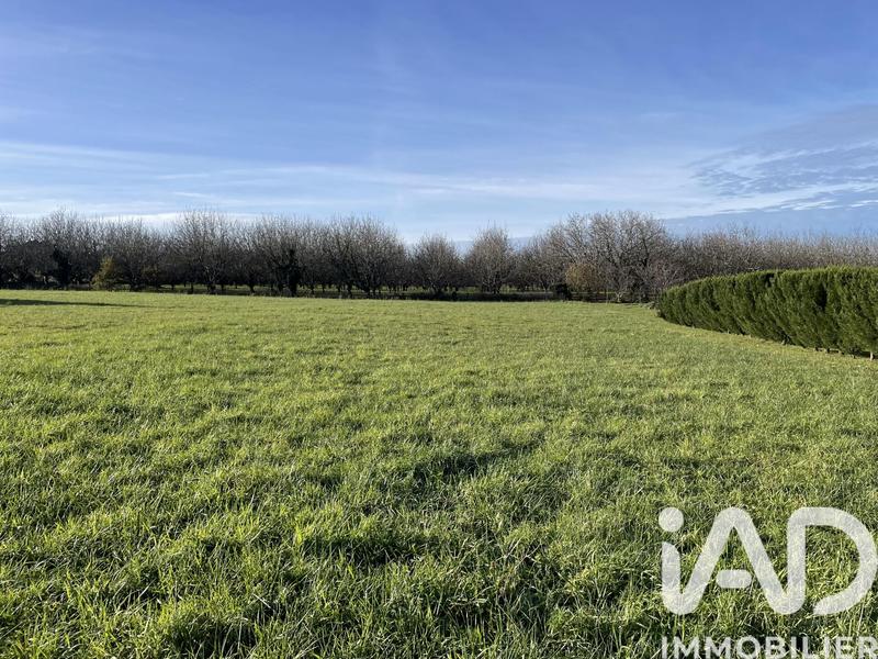 Terrain - 6 141 m²