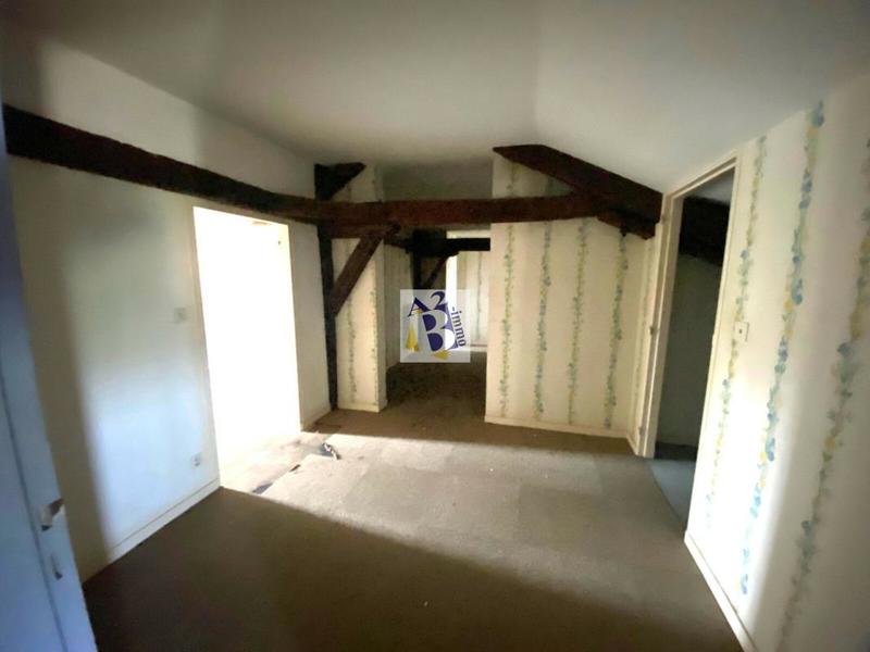 Hôtel particulier - 330 m² - 10 pièces