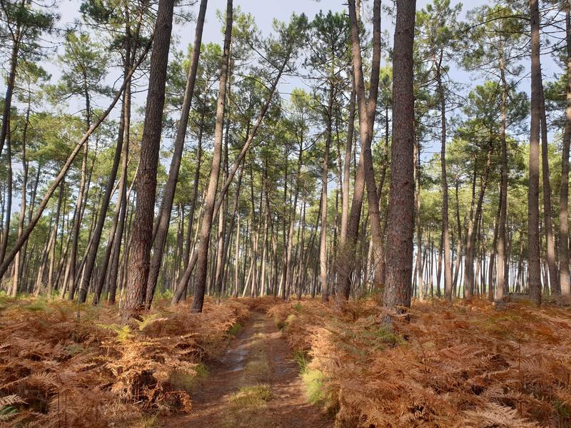 Randonnée à Cazalis