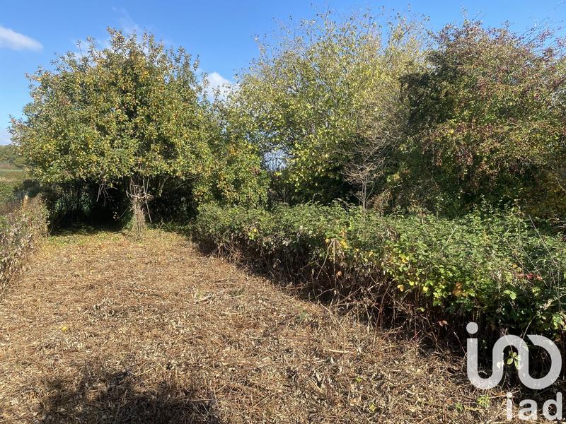 Maison de village - 56 m² - 2 pièces