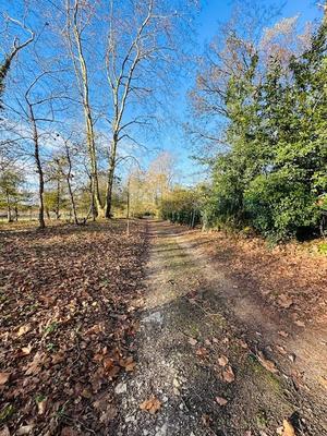 Maison ancienne - 205 m² - 7 pièces