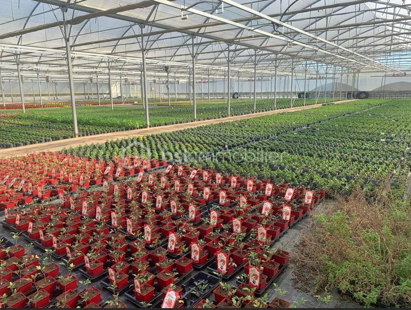 Propriété - 120 m² - 4 pièces