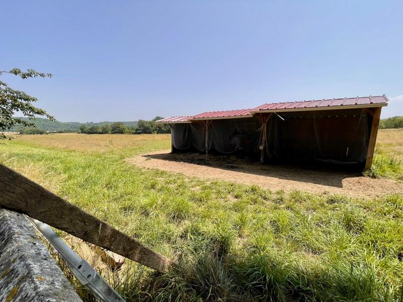 Maison - 388 m² - 10 pièces