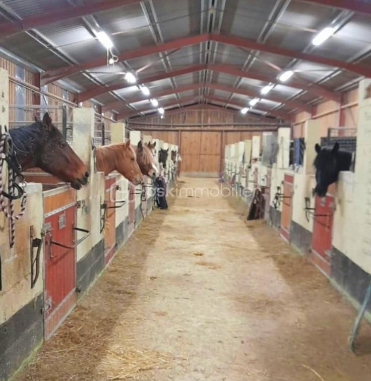 Maison de domaine équestre - 2 112 m² - 1 pièce