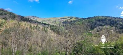 Maison - 307 m² - 13 pièces