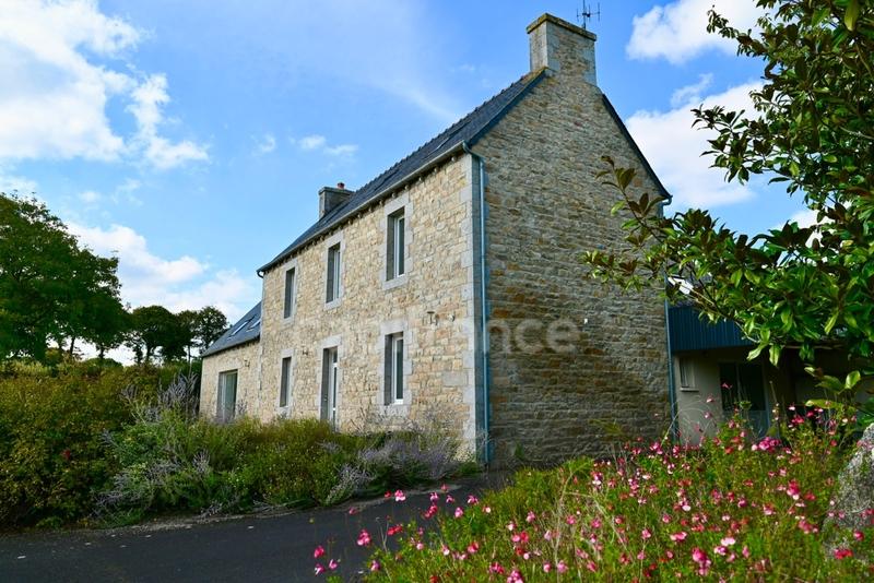 Maison en pierre - 175 m² - 10 pièces