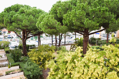 Appartement - 55 m² - 4 pièces