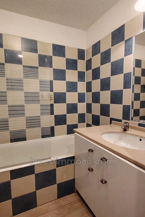 Studio - 23 m² - 1 pièce