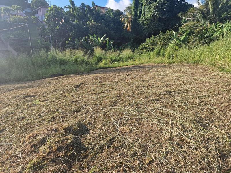 Terrain constructible - 517 m²