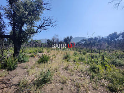 Terrain agricole - 8 000 m²