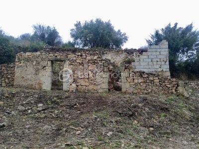 Terrain agricole - 8 300 m²