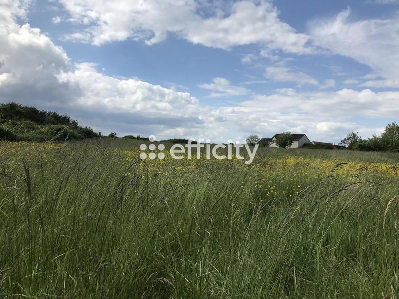 Terrain constructible - 10 617 m²