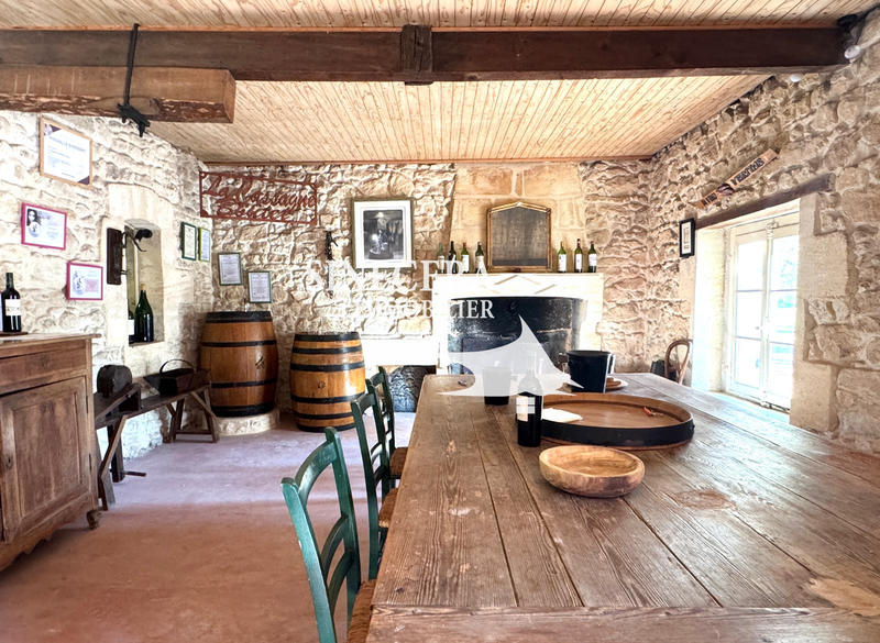 Propriété - 520 m² - 12 pièces