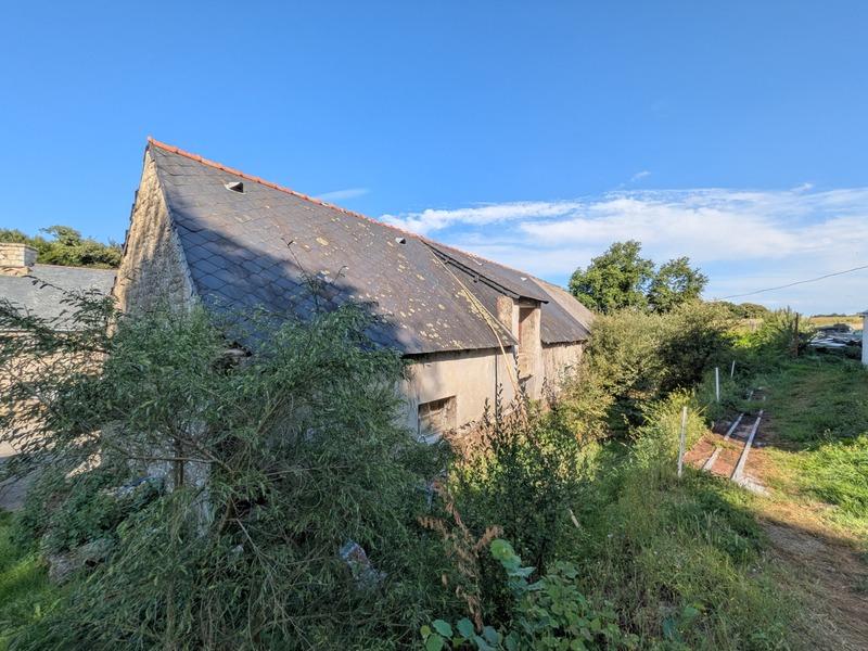 Corps de ferme - 243 m² - 6 pièces