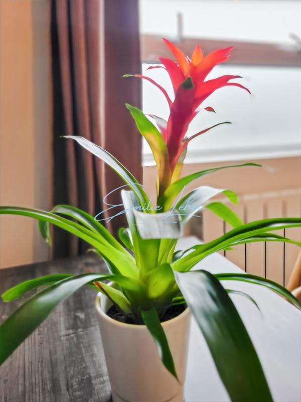 Immeuble - 92 m² - 6 pièces