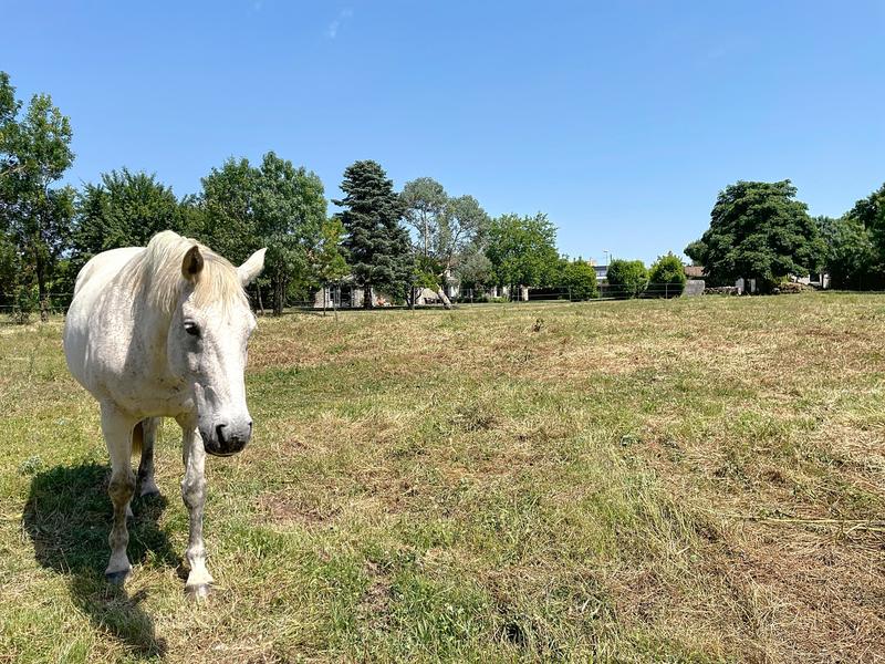Propriété - 473 m² - 15 pièces