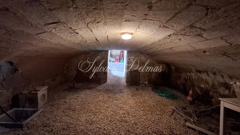 Maison de maîtres - 300 m² - 9 pièces