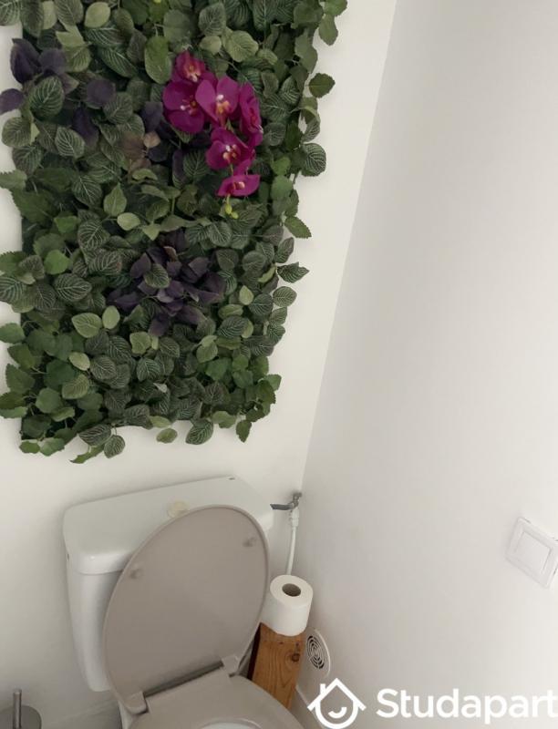 Appartement - 29 m² - 1 pièce